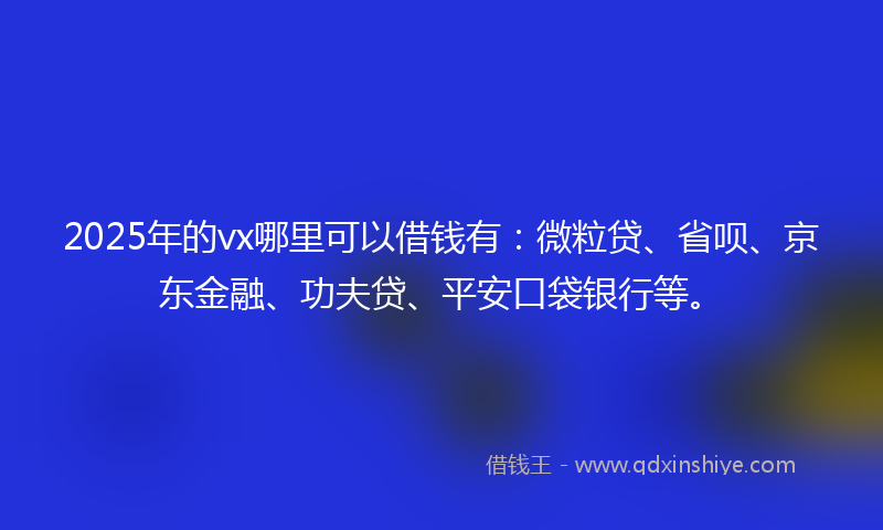 2025年的vx哪里可以借钱有：微粒贷、省呗、京东金融、功夫贷、平安口袋银行等。