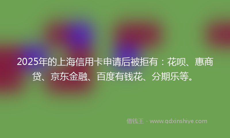 2025年的上海信用卡申请后被拒有：花呗、惠商贷、京东金融、百度有钱花、分期乐等。