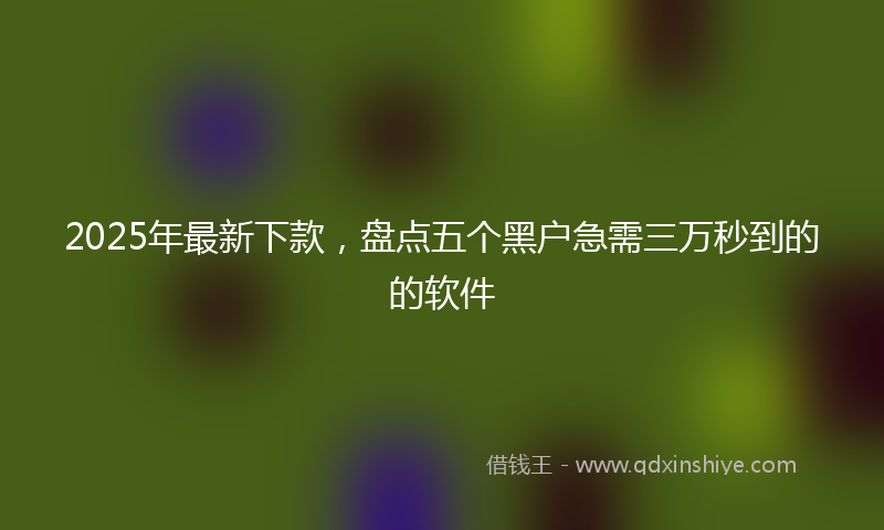 2025年最新下款，盘点五个黑户急需三万秒到的的软件
