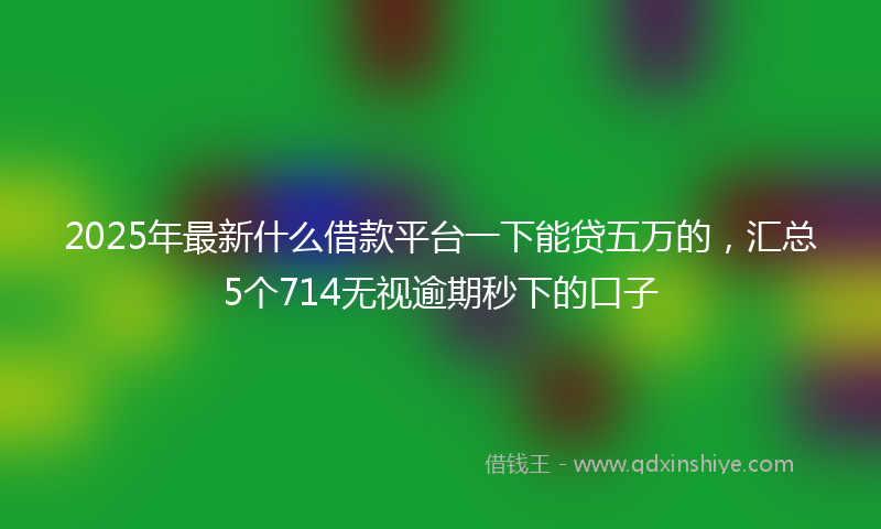 2025年最新什么借款平台一下能贷五万的，汇总5个714无视逾期秒下的口子