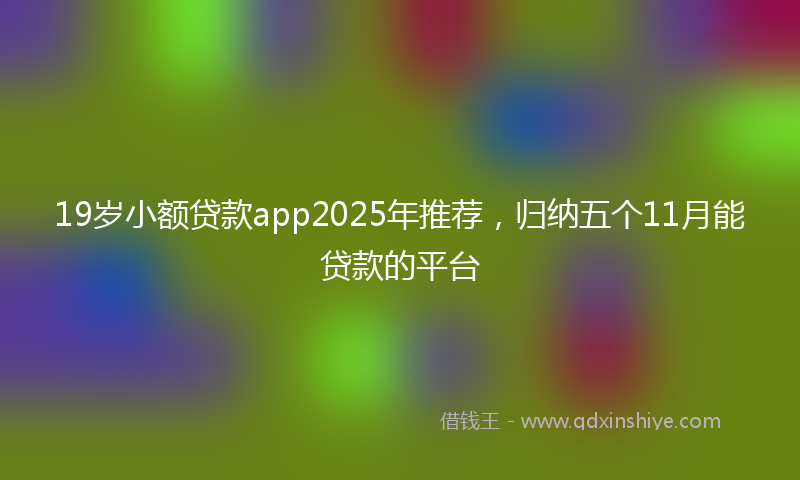 19岁小额贷款app2025年推荐，归纳五个11月能贷款的平台