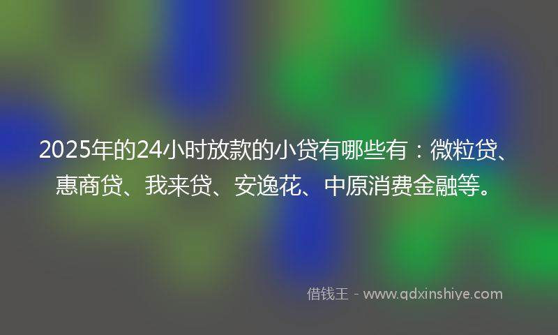 2025年的24小时放款的小贷有哪些有：微粒贷、惠商贷、我来贷、安逸花、中原消费金融等。