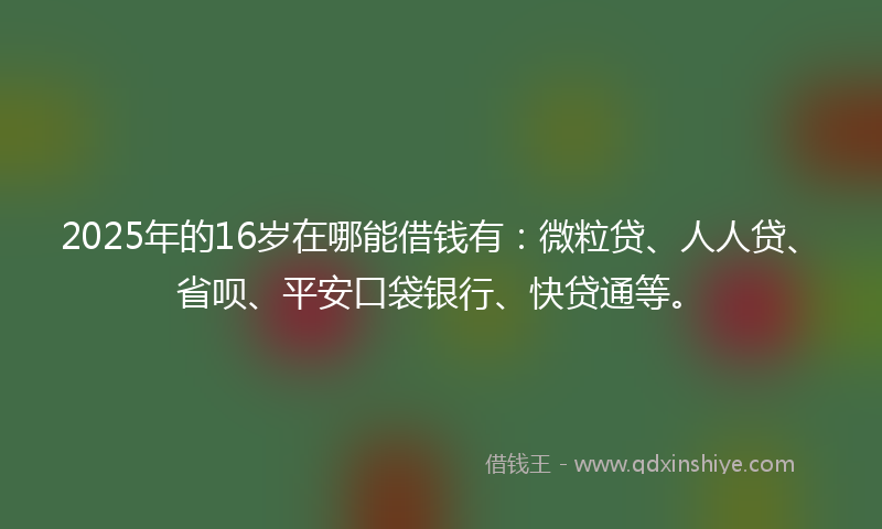 2025年的16岁在哪能借钱有：微粒贷、人人贷、省呗、平安口袋银行、快贷通等。