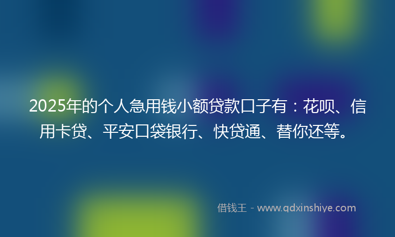 2025年的个人急用钱小额贷款口子有：花呗、信用卡贷、平安口袋银行、快贷通、替你还等。
