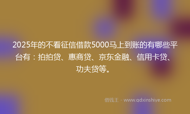 2025年的不看征信借款5000马上到账的有哪些平台有：拍拍贷、惠商贷、京东金融、信用卡贷、功夫贷等。