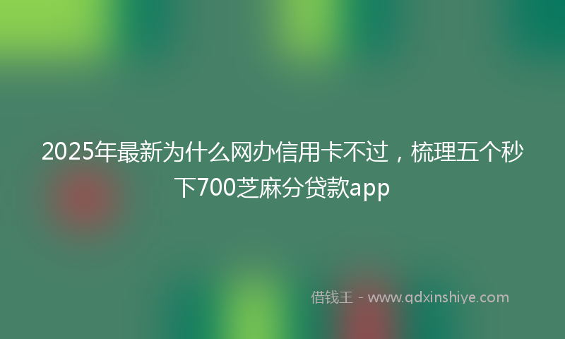 2025年最新为什么网办信用卡不过，梳理五个秒下700芝麻分贷款app