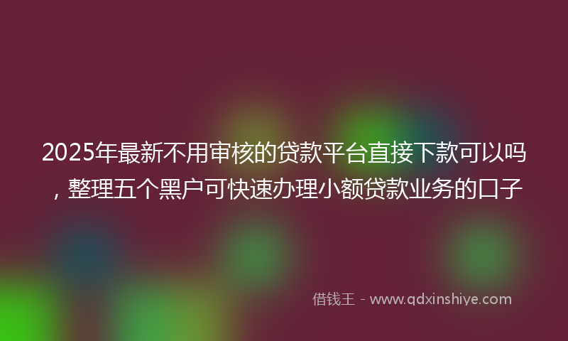2025年最新不用审核的贷款平台直接下款可以吗，整理五个黑户可快速办理小额贷款业务的口子