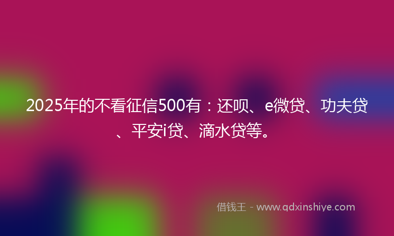 2025年的不看征信500有：还呗、e微贷、功夫贷、平安i贷、滴水贷等。