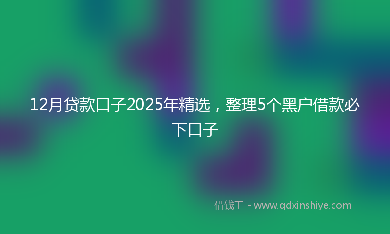 12月贷款口子2025年精选，整理5个黑户借款必下口子