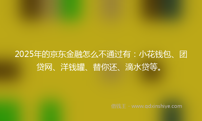 2025年的京东金融怎么不通过有：小花钱包、团贷网、洋钱罐、替你还、滴水贷等。