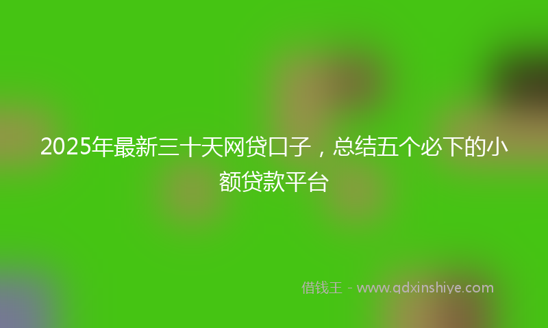 2025年最新三十天网贷口子，总结五个必下的小额贷款平台
