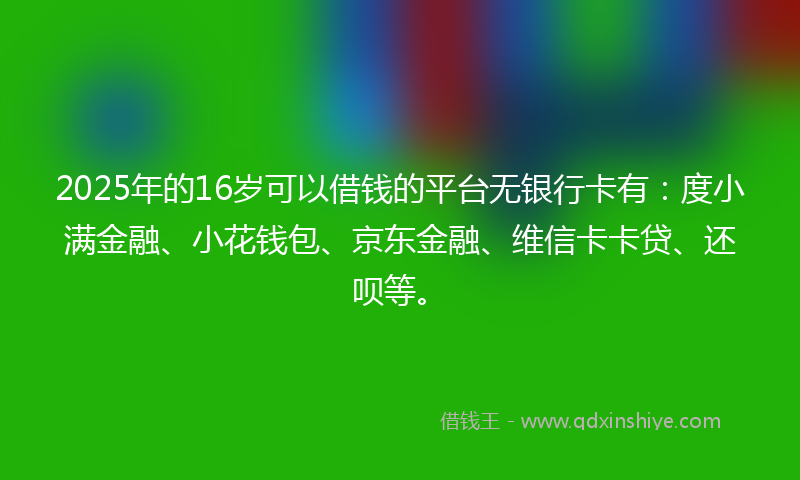 2025年的16岁可以借钱的平台无银行卡有：度小满金融、小花钱包、京东金融、维信卡卡贷、还呗等。