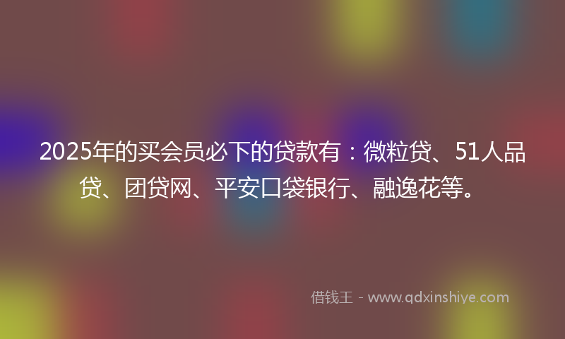 2025年的买会员必下的贷款有：微粒贷、51人品贷、团贷网、平安口袋银行、融逸花等。