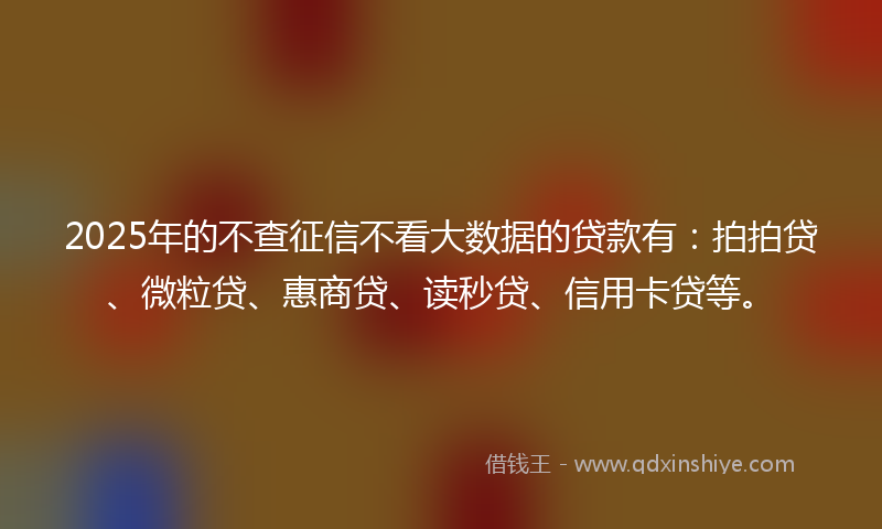 2025年的不查征信不看大数据的贷款有：拍拍贷、微粒贷、惠商贷、读秒贷、信用卡贷等。