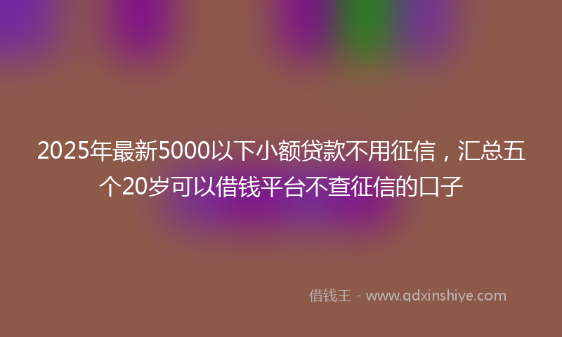 2025年最新5000以下小额贷款不用征信，汇总五个20岁可以借钱平台不查征信的口子