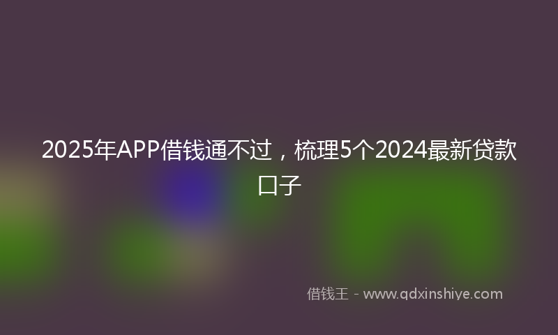 2025年APP借钱通不过，梳理5个2024最新贷款口子