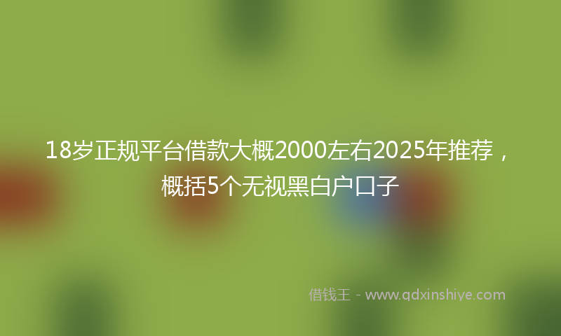 18岁正规平台借款大概2000左右2025年推荐，概括5个无视黑白户口子