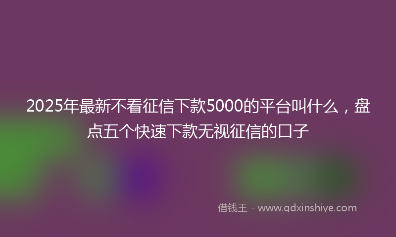 2025年最新不看征信下款5000的平台叫什么，盘点五个快速下款无视征信的口子
