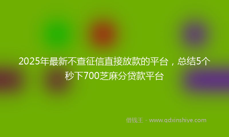 2025年最新不查征信直接放款的平台，总结5个秒下700芝麻分贷款平台