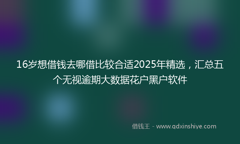 16岁想借钱去哪借比较合适2025年精选，汇总五个无视逾期大数据花户黑户软件