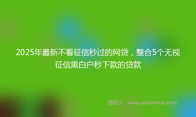 2025年最新不看征信秒过的网贷，整合5个无视征信黑白户秒下款的贷款