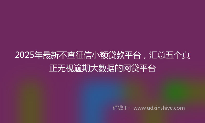 2025年最新不查征信小额贷款平台，汇总五个真正无视逾期大数据的网贷平台