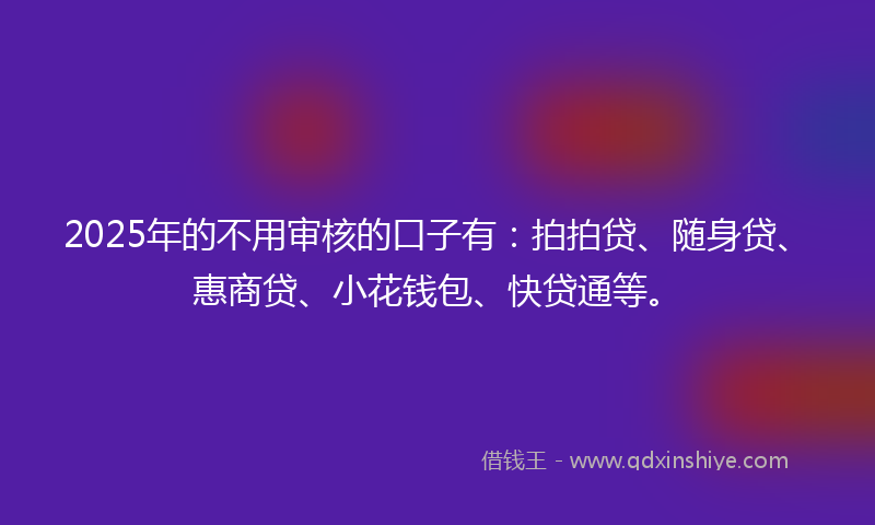2025年的不用审核的口子有：拍拍贷、随身贷、惠商贷、小花钱包、快贷通等。