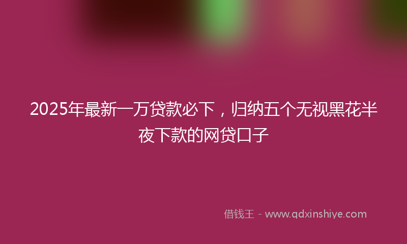 2025年最新一万贷款必下，归纳五个无视黑花半夜下款的网贷口子
