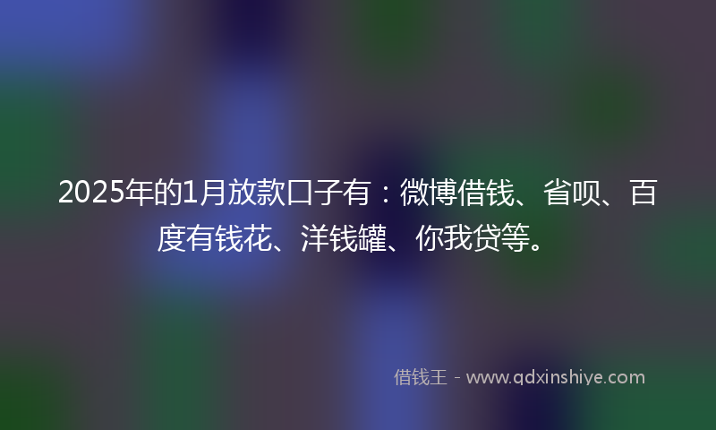 2025年的1月放款口子有：微博借钱、省呗、百度有钱花、洋钱罐、你我贷等。