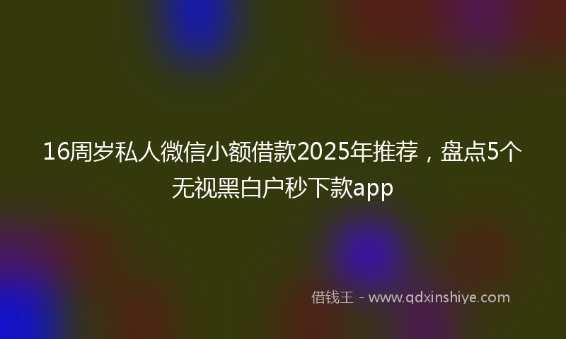 16周岁私人微信小额借款2025年推荐，盘点5个无视黑白户秒下款app