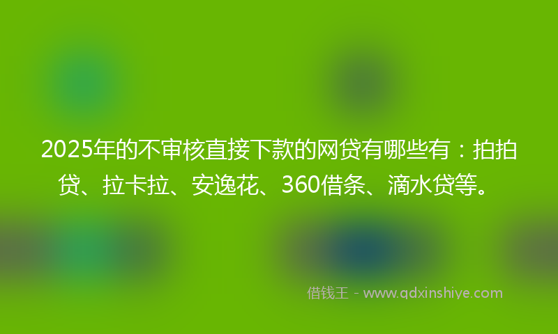 2025年的不审核直接下款的网贷有哪些有：拍拍贷、拉卡拉、安逸花、360借条、滴水贷等。