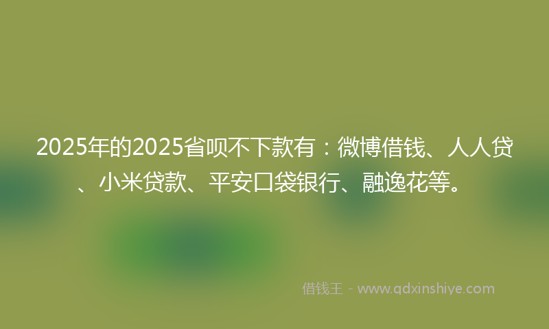 2025年的2025省呗不下款有：微博借钱、人人贷、小米贷款、平安口袋银行、融逸花等。
