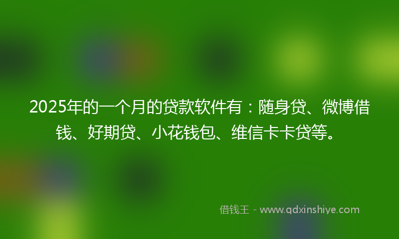 2025年的一个月的贷款软件有：随身贷、微博借钱、好期贷、小花钱包、维信卡卡贷等。