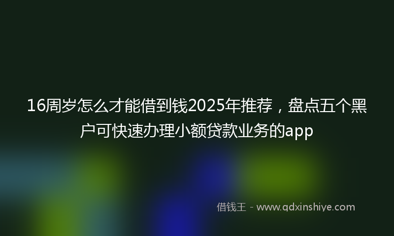 16周岁怎么才能借到钱2025年推荐，盘点五个黑户可快速办理小额贷款业务的app
