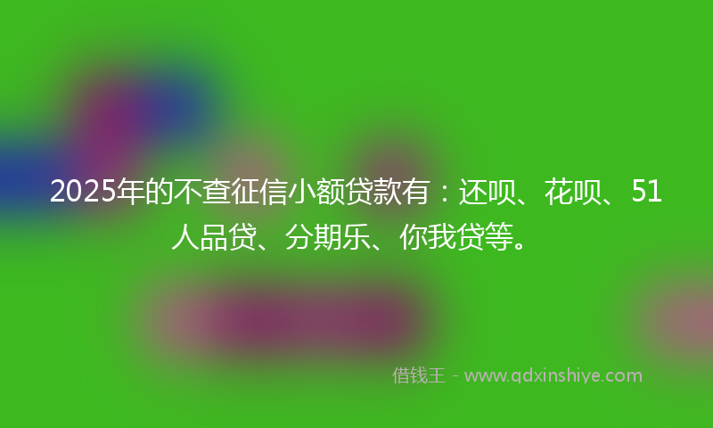2025年的不查征信小额贷款有：还呗、花呗、51人品贷、分期乐、你我贷等。