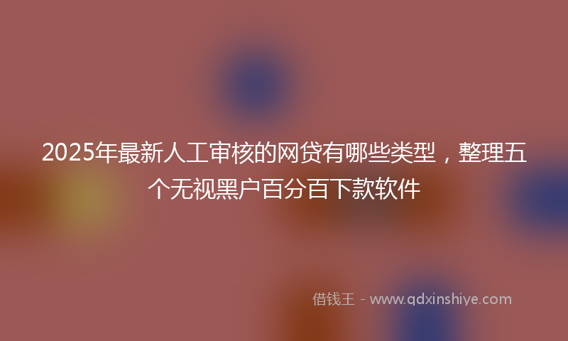 2025年最新人工审核的网贷有哪些类型，整理五个无视黑户百分百下款软件