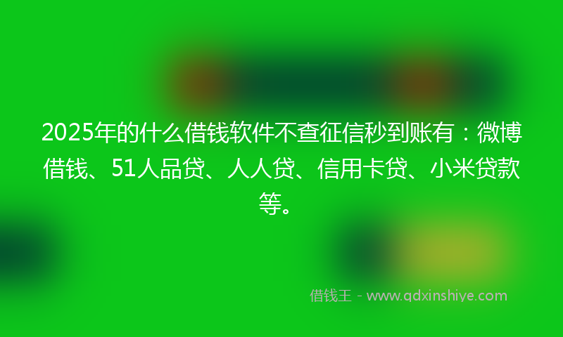 2025年的什么借钱软件不查征信秒到账有：微博借钱、51人品贷、人人贷、信用卡贷、小米贷款等。