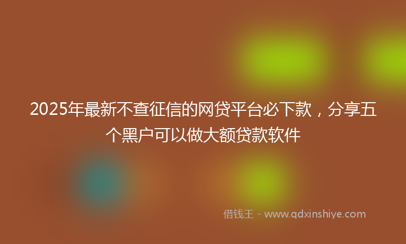 2025年最新不查征信的网贷平台必下款，分享五个黑户可以做大额贷款软件