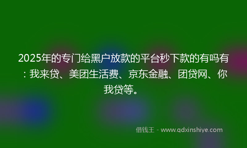 2025年的专门给黑户放款的平台秒下款的有吗有：我来贷、美团生活费、京东金融、团贷网、你我贷等。