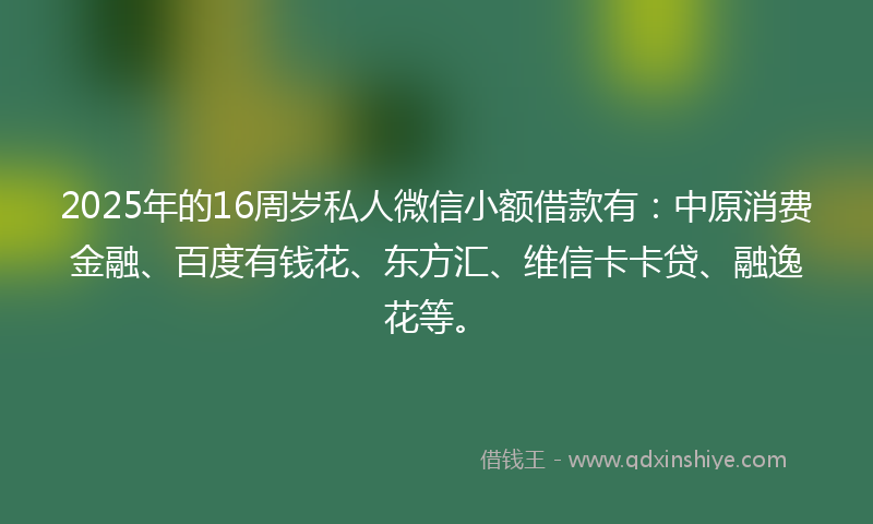 2025年的16周岁私人微信小额借款有：中原消费金融、百度有钱花、东方汇、维信卡卡贷、融逸花等。