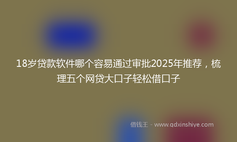 18岁贷款软件哪个容易通过审批2025年推荐，梳理五个网贷大口子轻松借口子