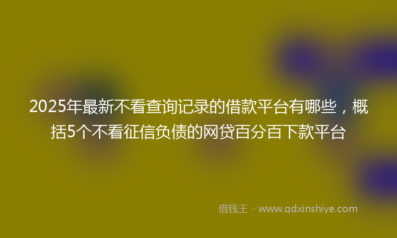 2025年最新不看查询记录的借款平台有哪些，概括5个不看征信负债的网贷百分百下款平台