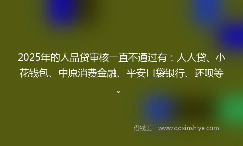 2025年的人品贷审核一直不通过有：人人贷、小花钱包、中原消费金融、平安口袋银行、还呗等。