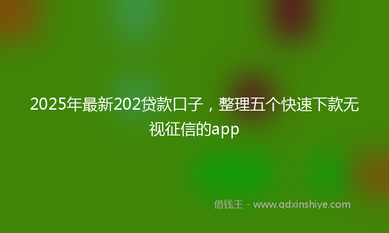 2025年最新202贷款口子，整理五个快速下款无视征信的app