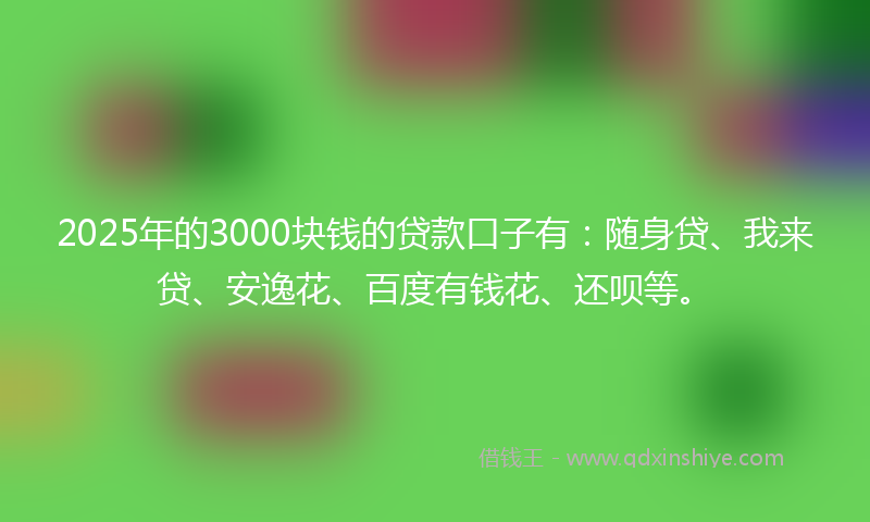 2025年的3000块钱的贷款口子有：随身贷、我来贷、安逸花、百度有钱花、还呗等。