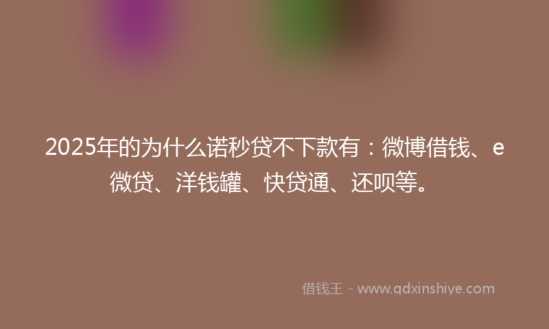 2025年的为什么诺秒贷不下款有：微博借钱、e微贷、洋钱罐、快贷通、还呗等。