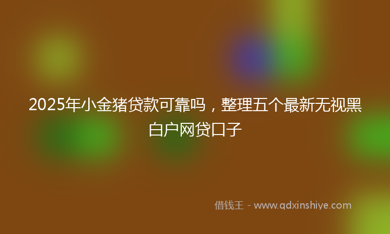 2025年小金猪贷款可靠吗，整理五个最新无视黑白户网贷口子