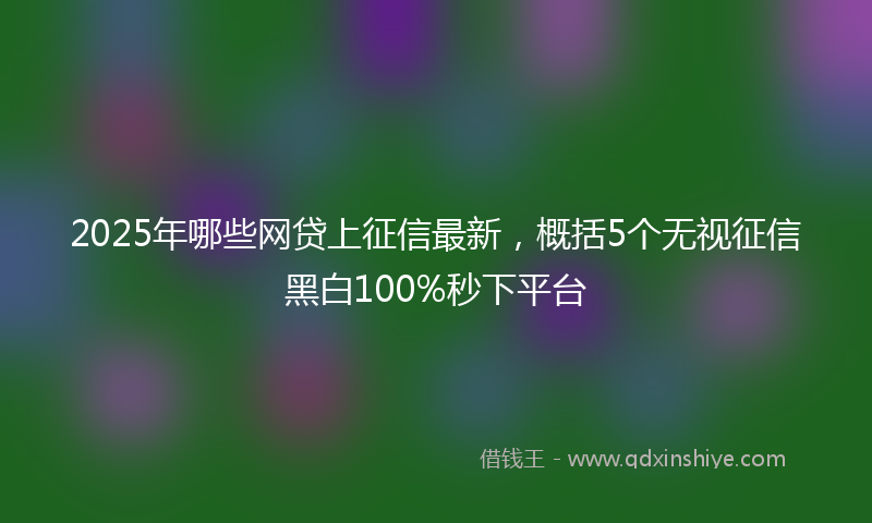 2025年哪些网贷上征信最新，概括5个无视征信黑白100%秒下平台