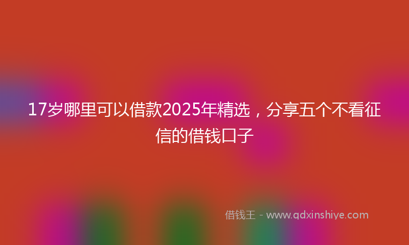 17岁哪里可以借款2025年精选，分享五个不看征信的借钱口子