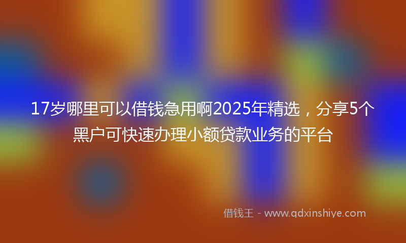 17岁哪里可以借钱急用啊2025年精选，分享5个黑户可快速办理小额贷款业务的平台